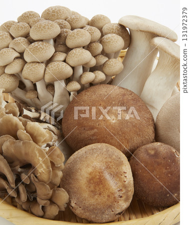 Various mushrooms in a colander on a white background Various mushrooms in a colander on a white background 131972379