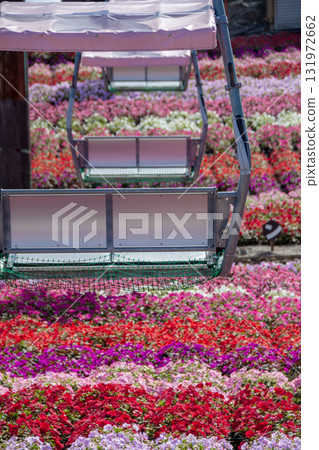 從茶臼山高原觀光纜車眺望的景色（愛知縣豐根村） 131972662