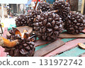 Nypa fruticans, nipa palm or mangrove palm fruit 131972742