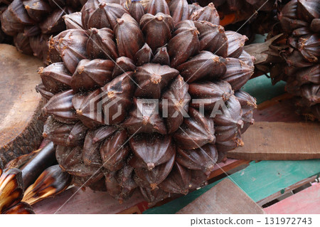 Nypa fruticans, nipa palm or mangrove palm fruit Nypa fruticans, nipa palm or mangrove palm fruit 131972743