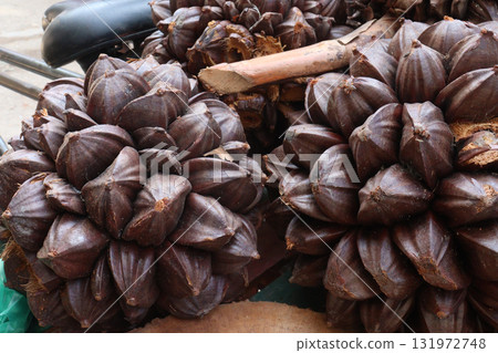 Nypa fruticans, nipa palm or mangrove palm fruit 131972748