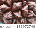 Nypa fruticans, nipa palm or mangrove palm fruit 131972749