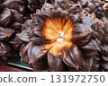 Nypa fruticans, nipa palm or mangrove palm fruit 131972750
