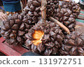 Nypa fruticans, nipa palm or mangrove palm fruit 131972751