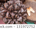Nypa fruticans, nipa palm or mangrove palm fruit 131972752