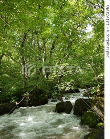 A clear stream flowing through the fresh green forest A clear stream flowing through the fresh green forest 131972965