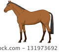 栗色馬（純種馬） 131973692
