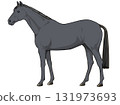 黑馬（純種馬） 131973693