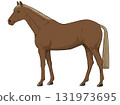 栗色馬（純種馬） 131973695