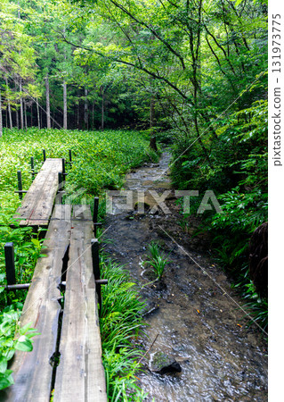 Kajishima, Morimachi, Shuchi District, Shizuoka Prefecture: Mountain village scenery 131973775