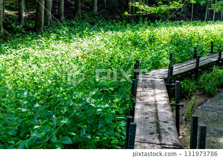靜岡縣週知郡森町梶島：山村風景 131973786