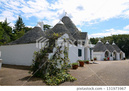 義大利南部阿爾貝羅貝洛的房屋 131973967