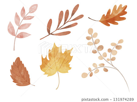 Autumn leaves set, watercolor style Autumn leaves set, watercolor style 131974289