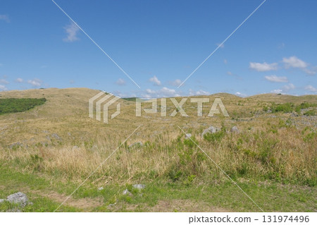 Akiyoshidai with dead grass in the spring of 2025 Akiyoshidai with dead grass in the spring of 2025 131974496