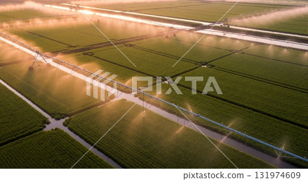 Drone shot of an irrigation system spraying fine mist over a field at sunrise. Modern agriculture and smart farming technology. Water management for crop growth 131974609