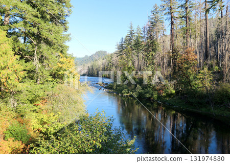 俄勒岡州南部安普誇國家森林的景色 131974880