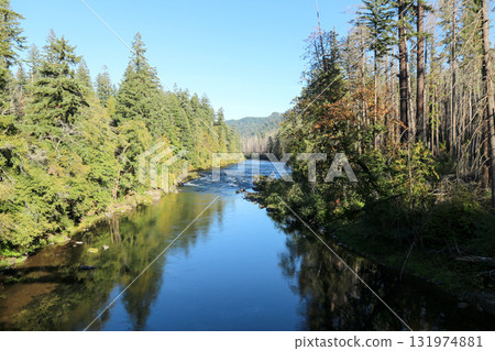 A view of Umpqua National Forest in southern Oregon 131974881
