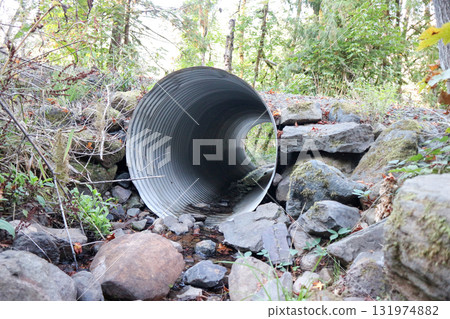 A view of Umpqua National Forest in southern Oregon A view of Umpqua National Forest in southern Oregon 131974882