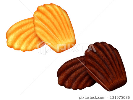 兩種貝殼形瑪德琳蛋糕：原味和巧克力味 131975086
