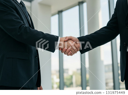 Business handshake - a symbol of trust and partnership Business handshake - a symbol of trust and partnership 131975449