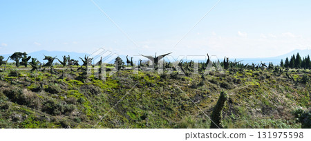 千馬鶴公園的修剪樹木 千馬鶴公園的修剪樹木 131975598