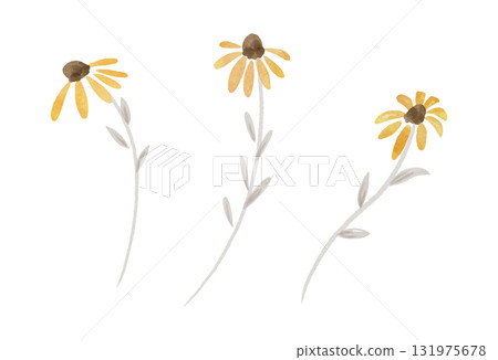 Yellow autumn flower illustration in watercolor style Yellow autumn flower illustration in watercolor style 131975678