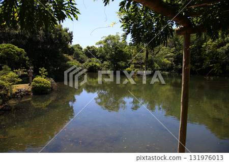 Obama Pond 131976013