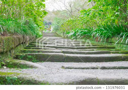 綠色的樓梯 131976031