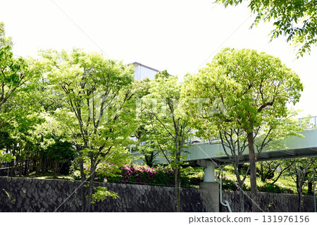 Kobe Gakugaoka, a town filled with fresh greenery Kobe Gakugaoka, a town filled with fresh greenery 131976156