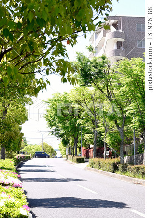 Kobe Gakugaoka, a town filled with fresh greenery Kobe Gakugaoka, a town filled with fresh greenery 131976188