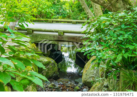 綠色人行道 131976471