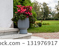 Decorative gray flower pot with blooming pink flowers and green foliage placed on stone steps in 131976917