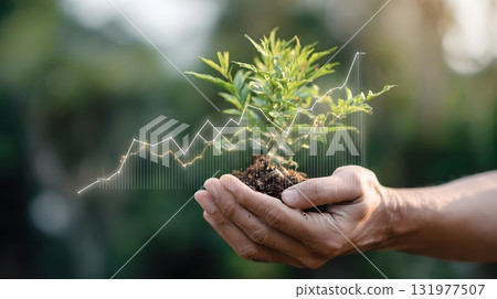 Plant in hand with growth graph overlay 131977507