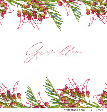 Grevillea flower with leaves seamless border decor element botanical watercolor illustration. Hand drawn Australian native wildflower. Blooming grevillea exotic decoration element on white background Grevillea flower with leaves seamless border decor element botanical watercolor illustration. Hand drawn Australian native wildflower. Blooming grevillea exotic decoration element on white background 131977598