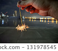 Sparkler  131978545