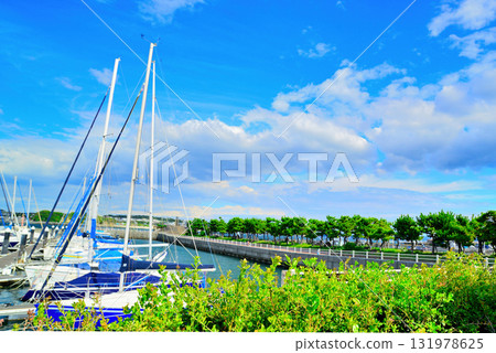 Shonan Enoshima Yacht Harbor Scenery Shonan Enoshima Yacht Harbor Scenery 131978625
