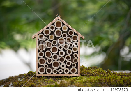 A bee house made of bamboo, providing a home for solitary bees. A bee house made of bamboo, providing a home for solitary bees. 131978773