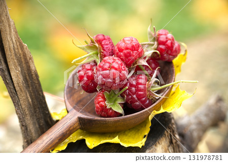 Fresh Raspberries In A Wooden Scoop On A Rustic Outdoor Table Setting 131978781