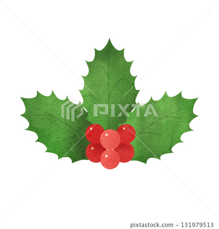 聖誕節手繪水彩畫，有三片冬青葉和紅色漿果 131979513