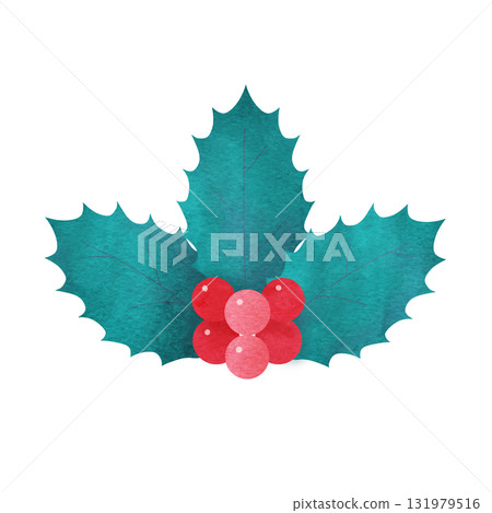 Hand-drawn watercolor illustration of three holly leaves and red berries for Christmas Hand-drawn watercolor illustration of three holly leaves and red berries for Christmas 131979516