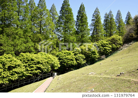 Rokkosan Ranch: A harmony of greenery and animals Rokkosan Ranch: A harmony of greenery and animals 131979764