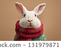 White rabbit in knitted festive sweater on beige background 131979871