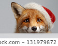 Cute fox wearing Santa hat looking into camera 131979872