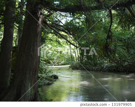 The landscape of the Oirase Stream 131979905