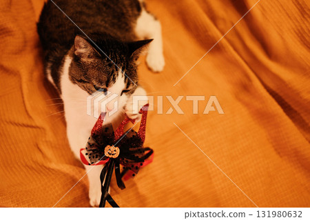 Cat sniffing and biting a glittery red trident with a Halloween pumpkin ornament while lying on an orange blanket. Festive playful indoor moment Cat sniffing and biting a glittery red trident with a Halloween pumpkin ornament while lying on an orange blanket. Festive playful indoor moment 131980632