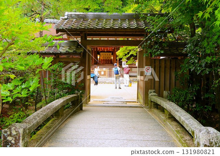 被新綠包圍的神社大門 被新綠包圍的神社大門 131980821