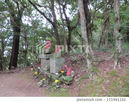 2014年，香川，高松，屋島，風景，寺廟，屋島寺，第181部分 131981182