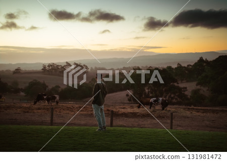 Contemplating Nature at Sunset with Cows Grazing in the Background Contemplating Nature at Sunset with Cows Grazing in the Background 131981472