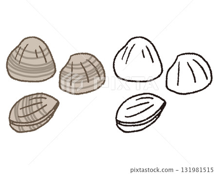 手繪蛤蜊 131981515