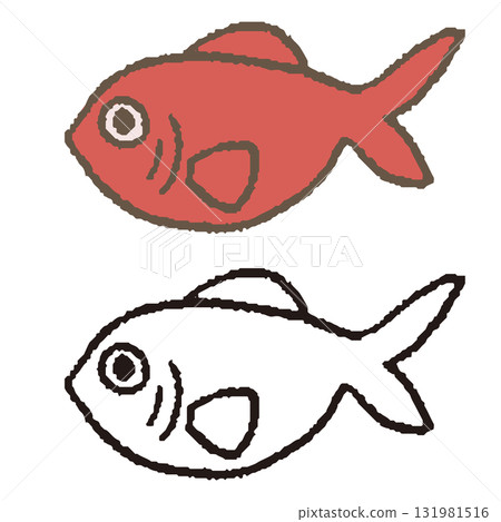 手繪金目鯛 131981516